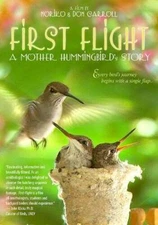 First Flight A Mother Hummingb - GOOD