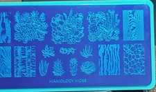 M068 Maniology Nail Stamping Plate Plants