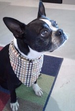 Buster Brown Dog Bandana, Autumn, Plaid, Custom Made by Linda, M