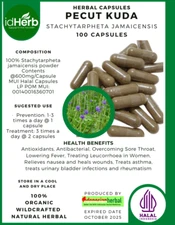 100-500 CAPSULES of Pecut Kuda Stachytarpheta Jamaicensis Organic WildCrafted