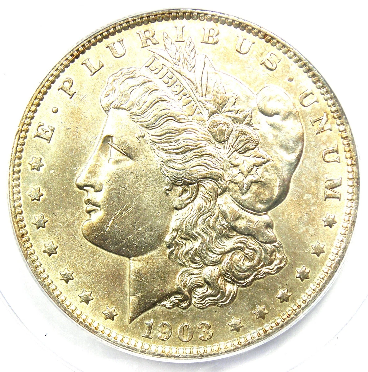 ヘンシェル　ソーン　カッセル　1913年 ヘンシェル ソーン カッセル 1913年 2015 Shell Coin: Australian
