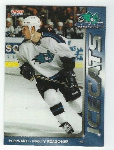 Marty Reasoner 2000-01 Worcester IceCats (AHL)