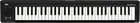 KORG Wireless MIDI Keyboard Controller Bluetooth DTM microKEY2 Air 61 Keys NEW