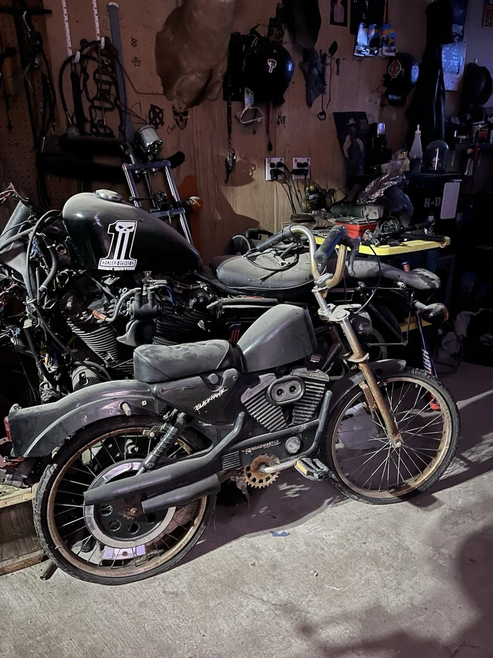 Bicicleta Harley Davidson/Roadmaster vintage años 90 rara en buen estado Foto 2 de 2