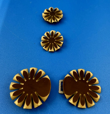 BUTTONS & BELT BUCKLE lot vintage 1920s 1930s dress trim Celluloid brown flowers
