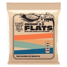 Ernie Ball Flatwound Group 2.5 Electric Bass ...