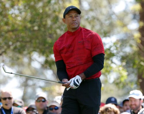 Frustrerend Begin Bende Nike Dri-Fit ADV Tiger Woods Mens Mock Neck Golf Polo T-Shirt Red XL  DJ6842-687 195245544966 | eBay