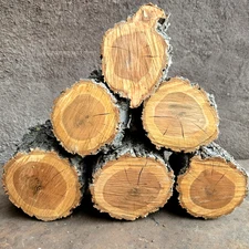 6 APRICOT DELUXE WOOD LOGS 4-5"H BIG CHUNKS For Smoking BBQ Grilling Fire Crafts