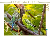 Calvendo Puzzle I'm Proud Of You | 1000 Pieces, Finished Size 25.2 × 18.9 In (64