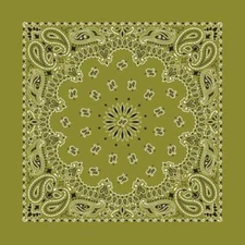 Carolina Creative Bandanna (Olive Green) Paisley Print 22" x 22" Hav-A-Hank