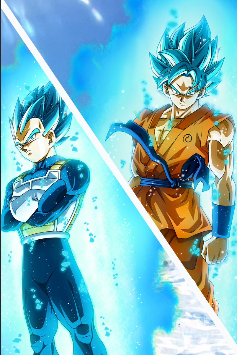 Dragon Ball Super Poster Goku and Vegeta SSJ Blue 18inx12 in Free Shipping