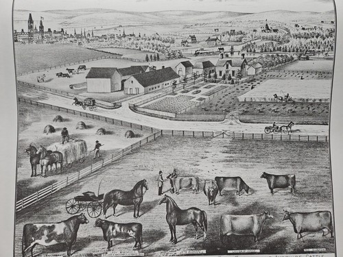 Illustrated Historical Atlas Of The County Of Carleton Ontario- Including Ottawa - Picture 9 of 13