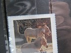 Bild 2 von 2