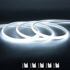 Bild 7 von 12