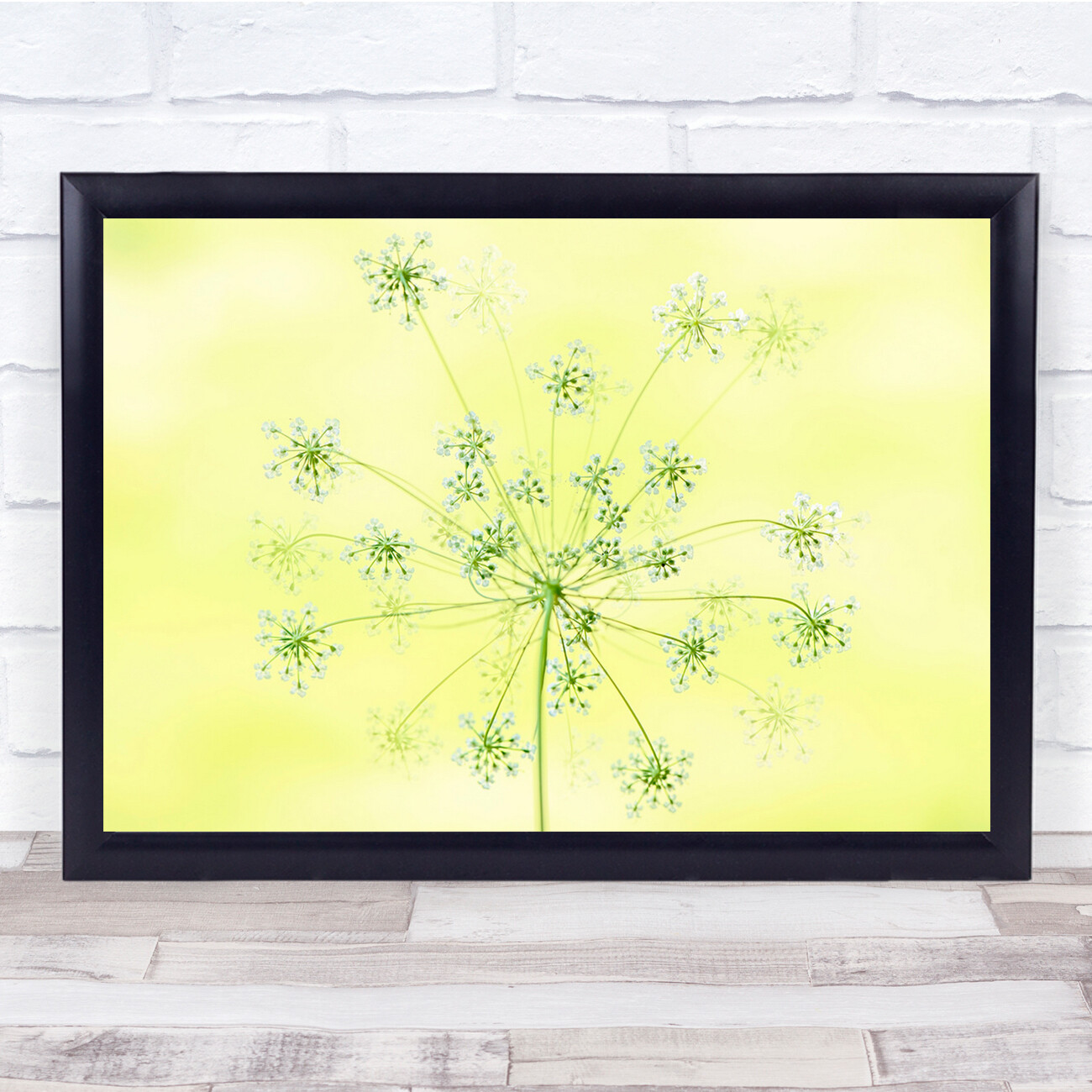 Flower Bloom Summer Yellow Plant Minimal Wall Art Print