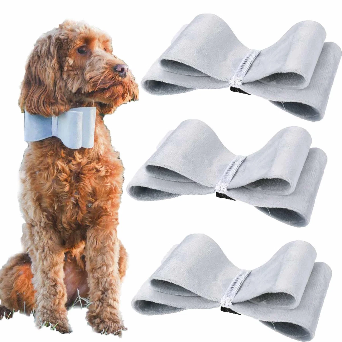 Bow top tie puppy