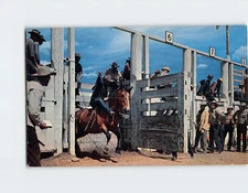 Postcard Ya Hoo Yowie! USA