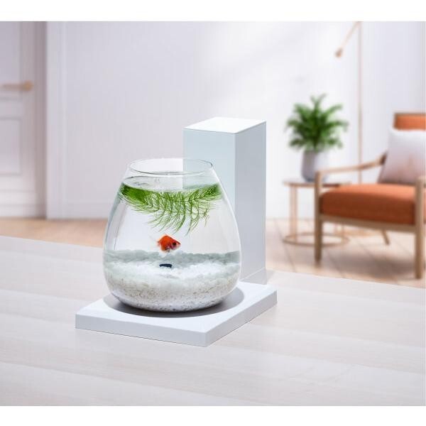 ジェックス GEX AQUARIUM グラスアクア PERCO T-WH 6L グラスアクア PERCO T-WH オールインワン水槽ペルコ