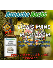 LION'S MANE MUSHROOM High Potency Extract Liquid Tincture 4oz. 120 servings 