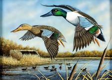 Broderick Crawford (GA,20/21C) oil painting 134054 Broderick Crawford (GA,20/21C) oil painting 134054