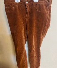 Anthro Pilcro And The Letterpress High Rise Skinny Brown Courdory Pants Size 31
