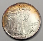 1990 Walking Liberty Half Dollar Amazing Rainbow toning#12XR