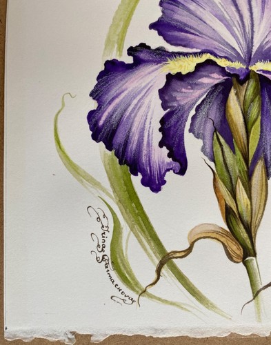 IRINA GARMASHOVA ORIGINAL ART 2 IRIS Flower Studies 7.5 x 7.5 inches - Picture 4 of 8