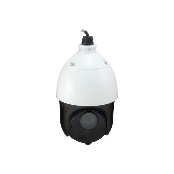 LevelOne FCS-4051 Telecamera di sicurezza IP Interno e esterno Cupola Soffitto 1