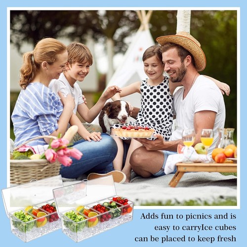 5 Condiment Tray Server Ice Chilled Compartment Container Organizer - Picture 6 of 7