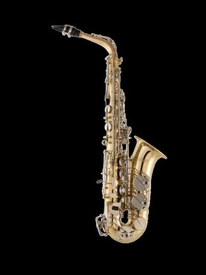 Selmer SAS301 Alto Saxophone Outfit :D