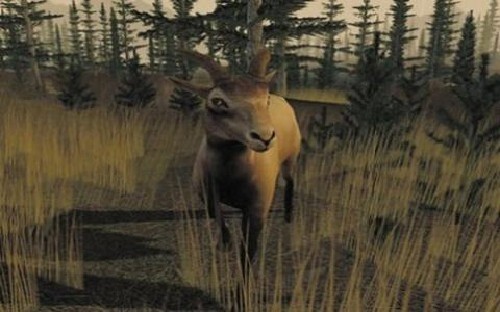 Rocky Mountain Trophy Hunter & Deer Hunter Legendary Hunting 2003 Pc Both New XP - Picture 3 of 7