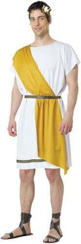 Party Toga - Adult Costume - Picture 4 of 6