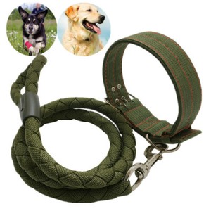 large dog collars and leads