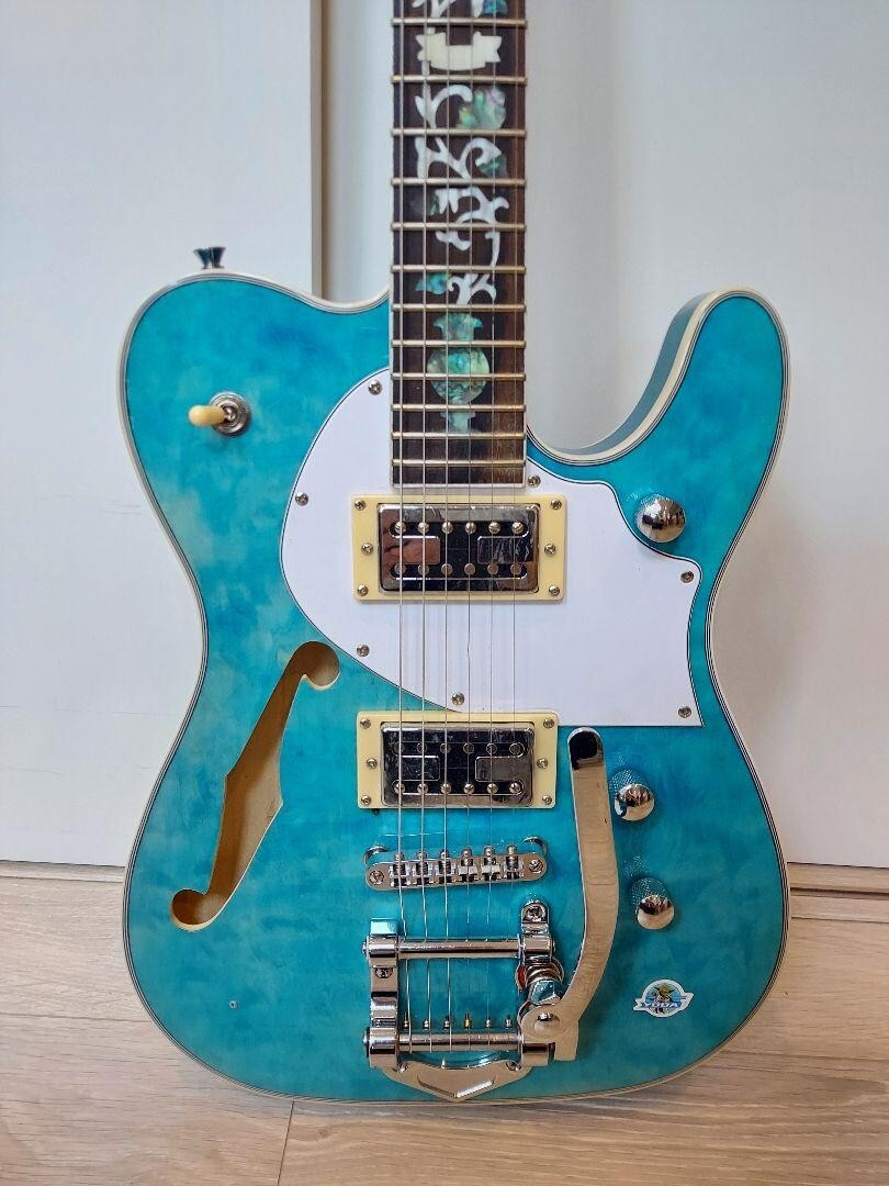 zeuwi セミホロウギター