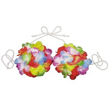Tropical Luau Hula Girl Flower Bra Costume Women Bikini Top, Rainbow, One-Size