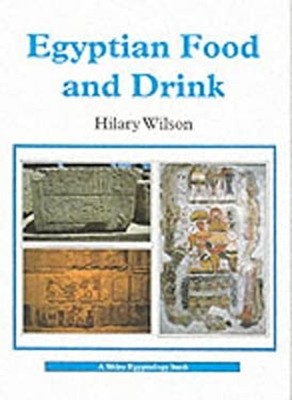 Egyptian Food and Drink Paperback Hilary Wilson