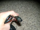Picture 2 of 3