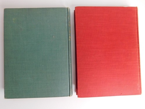 The First & Second Book of Birds ~ Olive Thorne Miller, 1st Editions 1899-1901 - Picture 8 of 17