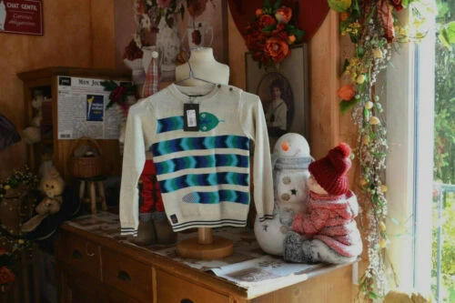 Pulls et cardigans bleus pour garçon de 2 à 16 ans