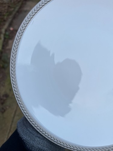 Soie Tressee Platinum Dessert Plate by L'Objet Brand New 21.4cm In Diameter - Picture 4 of 10
