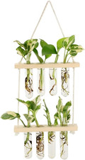 Wall Hanging Planter, 2 Tiered Plant Propagation Stations Plant Terrarium with W