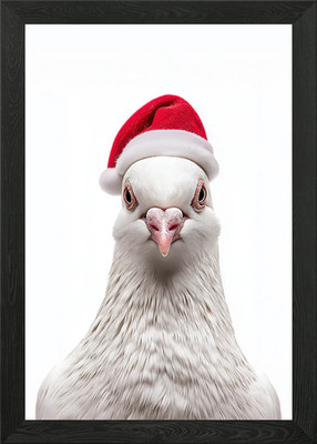 Taube trägt Nikolausmütze Gerahmtes Wandbild Poster Leinwanddruck Bild
