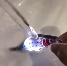 1 Set USB Rechargeable Fishing Lure LED Electric Vibrate Charging Bait Hooks