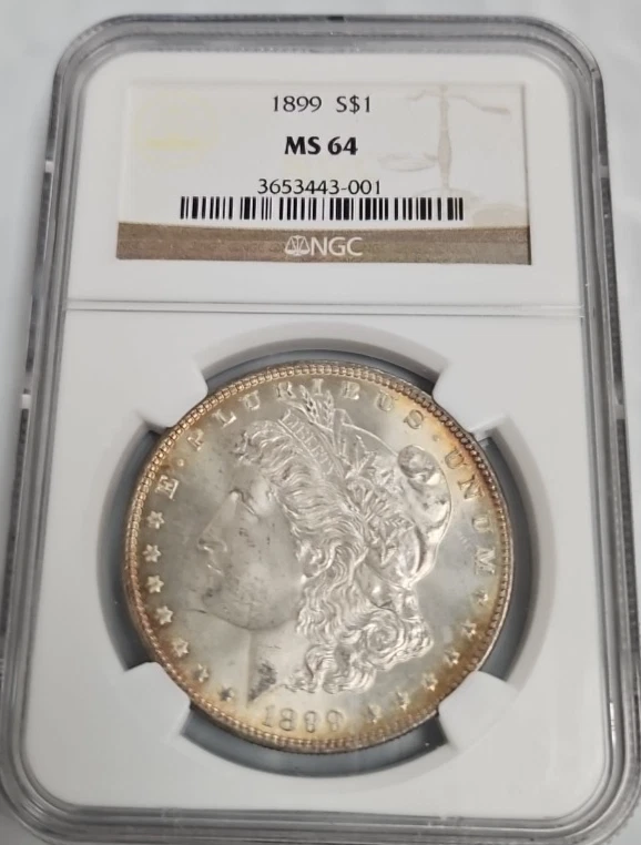 MS 64 Graded 1899 Year Morgan US Dollars (1878-1921) for sale | eBay