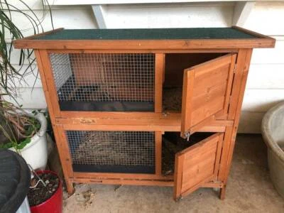 Pets Gumtree Gumtree Guinea Pig Hutch Gumtree Baby Girl Guinea