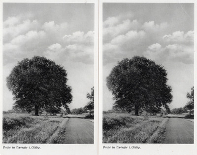 56/820 AK BUCHE IN DWERGIE IN OLDENBURG 2 x DIECKMANN MOLBERGEN PAPIERWAREN 1955