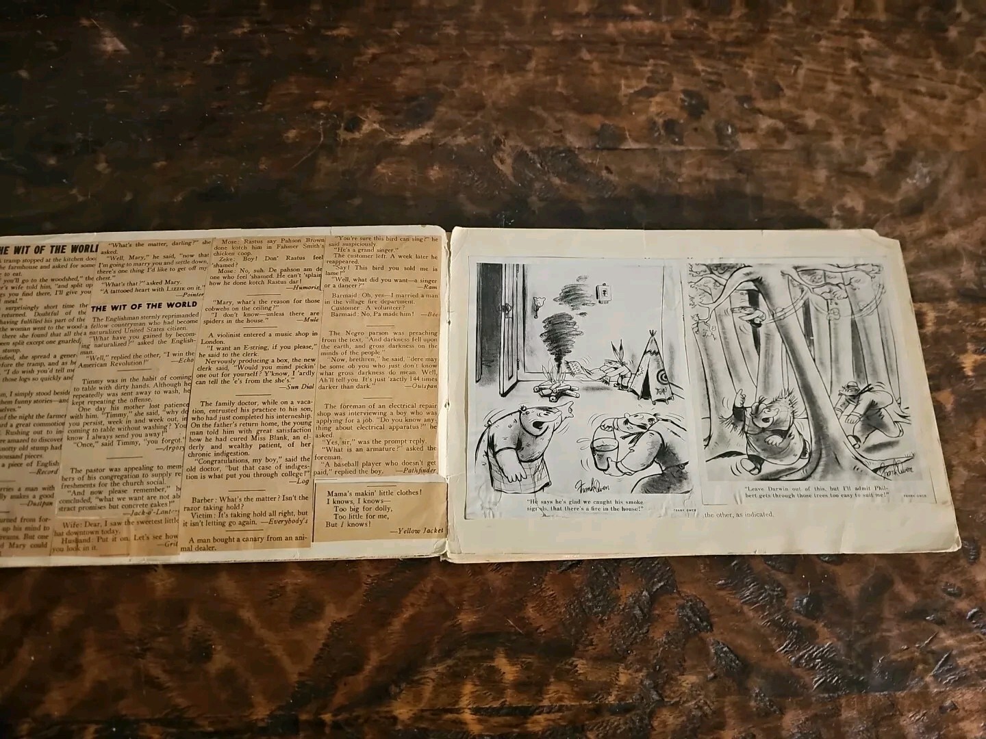 Picture 5 of 20