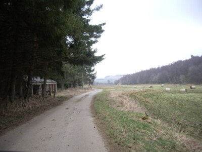 Photo 6x4 Road down Glen Markie Haugh of Glass From Braetown. c2009