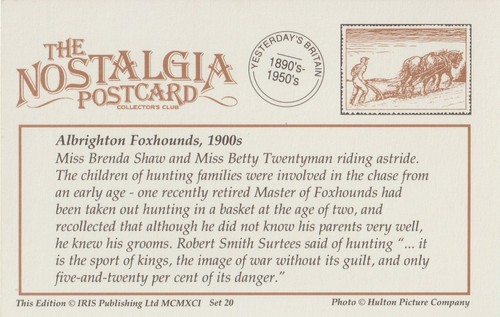 Postal Albrighton Foxhounds 1900 Hulton Foto Caballo - Nostalgia - Imagen 3 de 3
