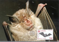 2417+ FDC CARTE 1er JOUR PETIT RHINOLOPHE PARIS